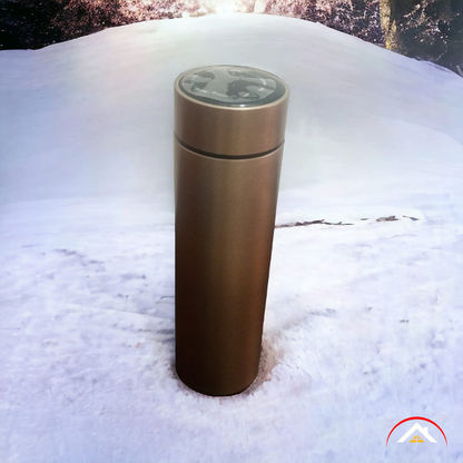 Termo Digital De Acero Inoxidable Frio o Calor Con Panel Solar - PRICENTER - 